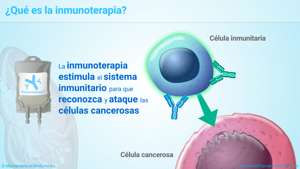 ¿Qué es la inmunoterapia?