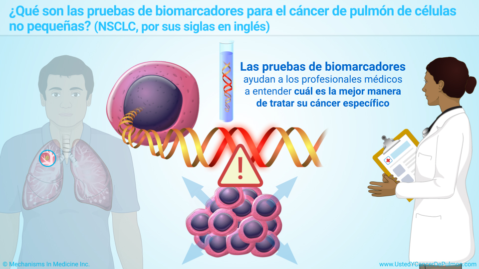 ¿Qué son las pruebas de biomarcadores?