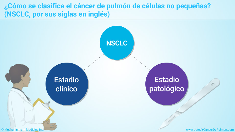 ¿Cómo se clasifica el cáncer de pulmón de células no pequeñas?