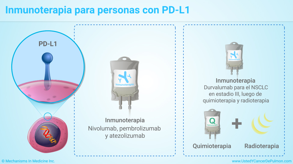 Inmunoterapia para personas con PD-L1