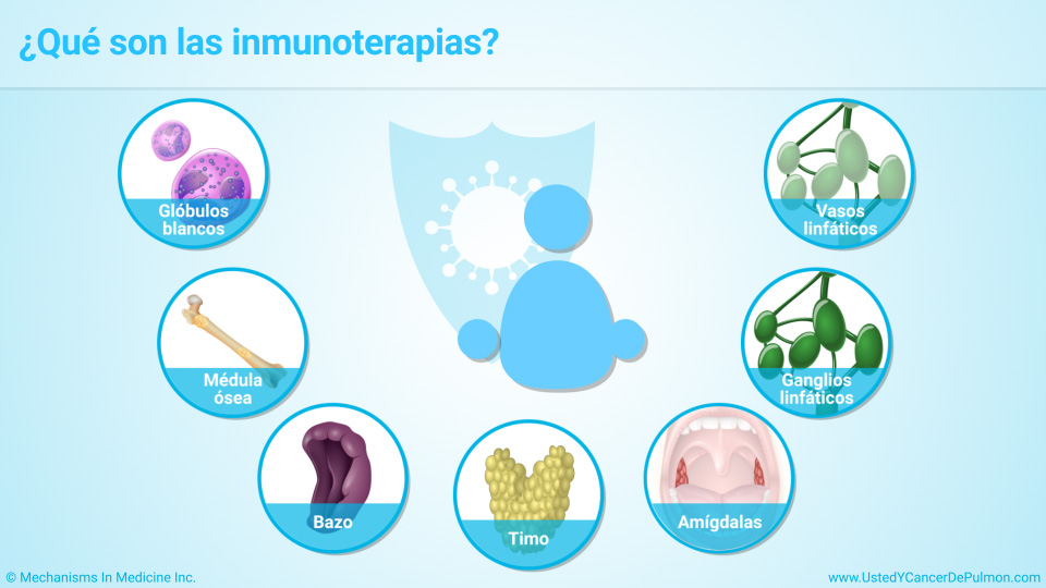 ¿Qué son las inmunoterapias? 