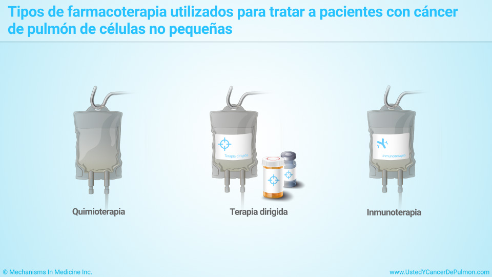 Tipos de farmacoterapia utilizados para tratar a pacientes con NSCLC